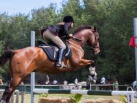 The amazing benefits of using the right boots for horses